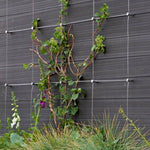 Green Wall Hub - Stainless Steel Cable Trellis Kit